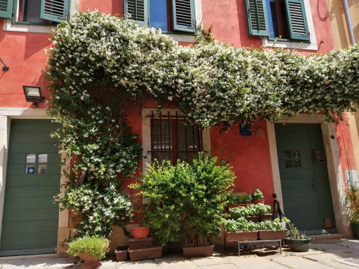 Appartement Alighieri Unique *
